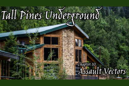 Thumbnail for Assault Vectors [Tall Pines Underground #10]